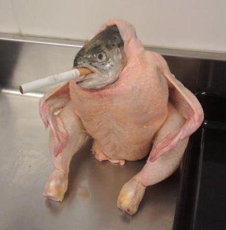 Cool_smoker.jpg