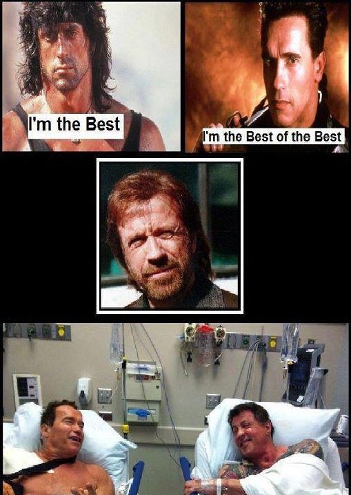 Arnold,Stalone,Chuck.jpg
