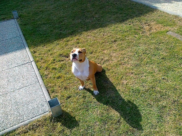 18032012133.jpg