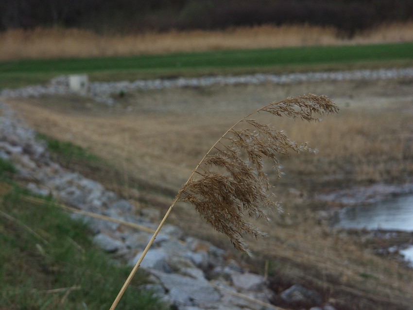 PICT0124.JPG