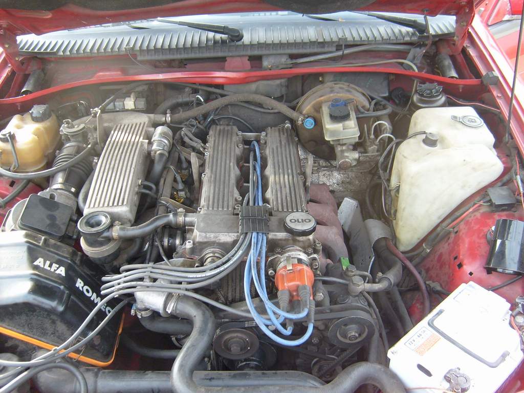 S6300051x.JPG