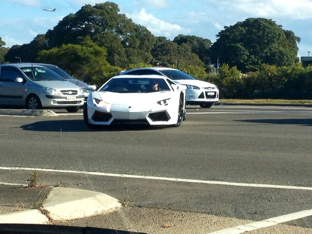 lambo1.JPG