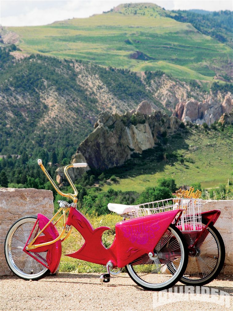 1103_lrmp_08_o+1976_schwinn_fairlady+side_view.jpg