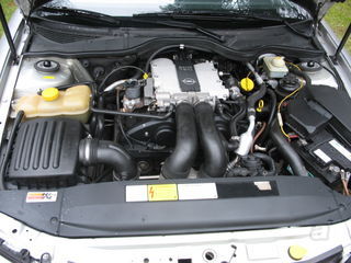 8967604.jpg