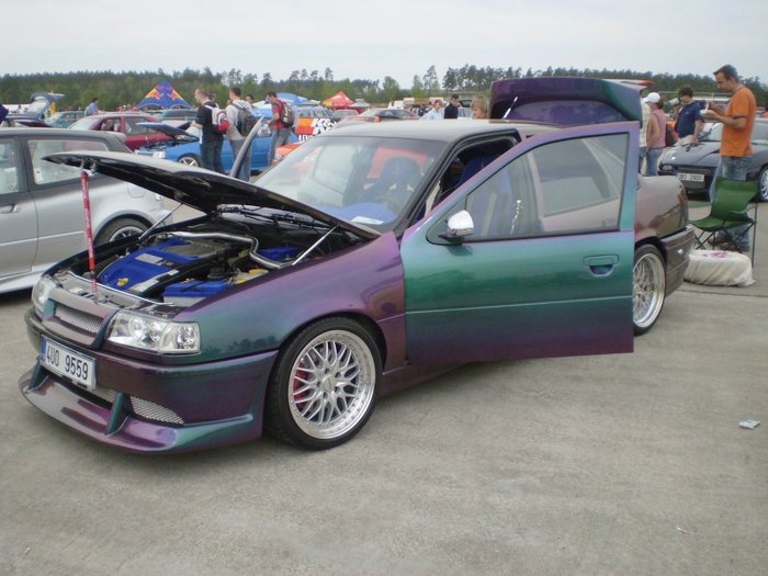 chameleon7.JPG