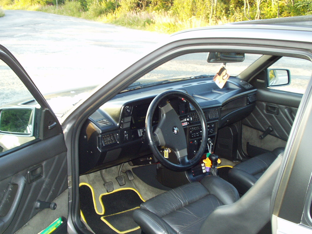 GSi-3.JPG