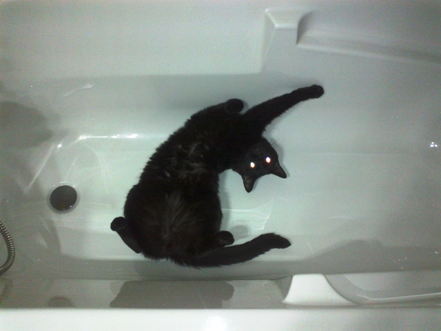 22092012949.jpg