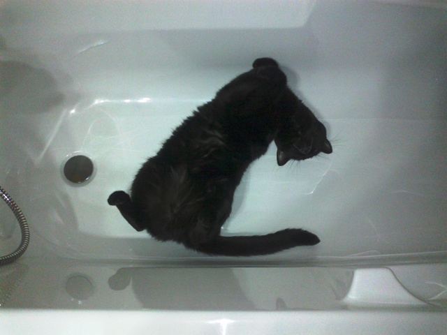 22092012950.jpg