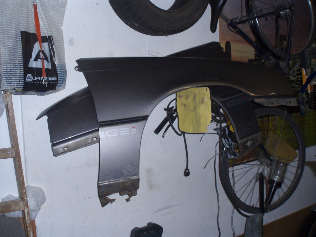 PB010478.JPG