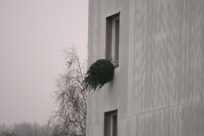 IMG_5578.jpg