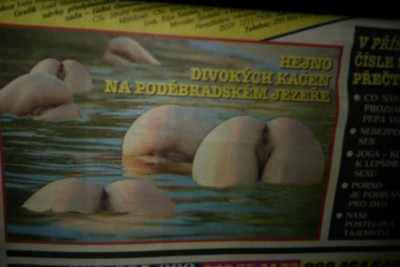 kačeny.jpg