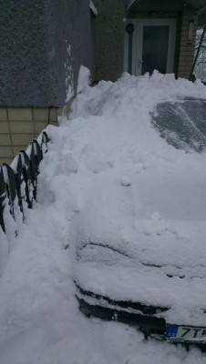 IMAG0456.jpg