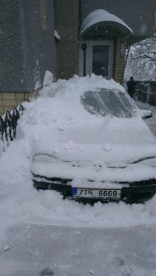 IMAG0455.jpg
