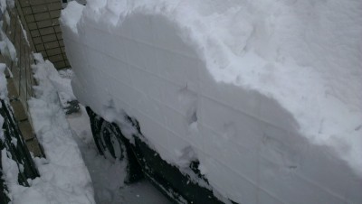 IMAG0460.jpg
