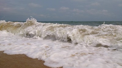 DSC_0371.jpg