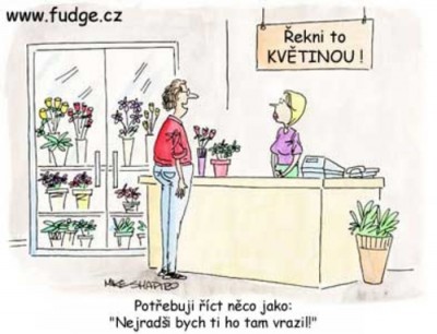 řekni to květinou.jpg