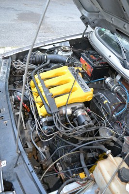 DSC_0589.JPG