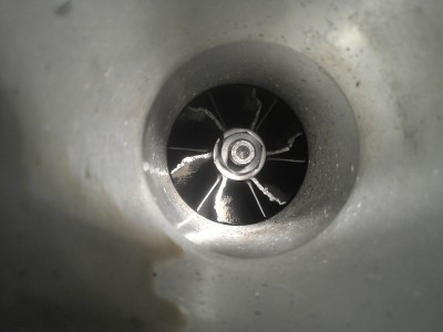 WP_000670.jpg