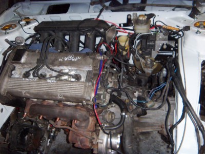 rsz_100_7961.jpg