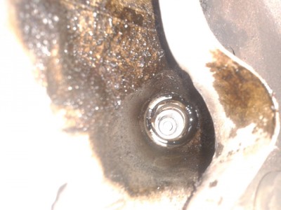 20140724_183909.jpg