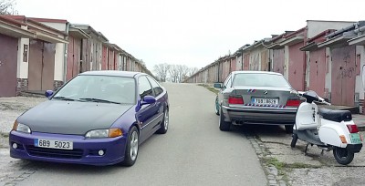Back