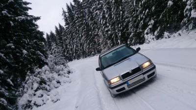 DSC_4037.JPG