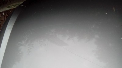 DSC_0079.JPG