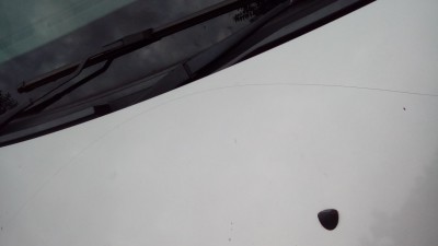 DSC_0080.JPG