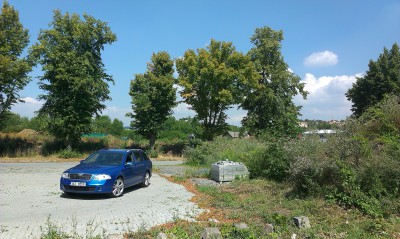 IMAG0452.jpg