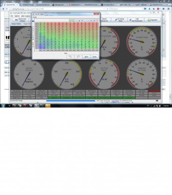 fuel map benzin.jpg