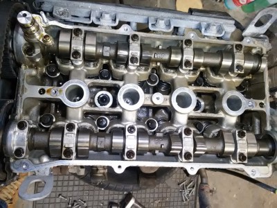head VVT.jpg