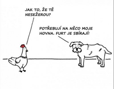 význam psů.jpg