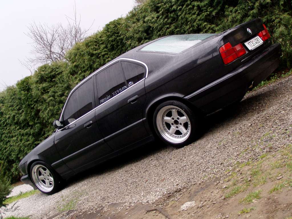 P1010009.JPG