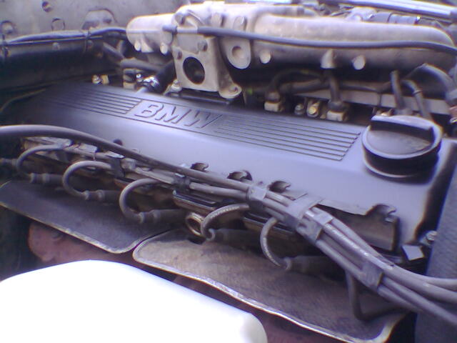 Obraz039.jpg