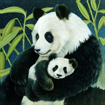 Pandas-Print-C10278751.jpg