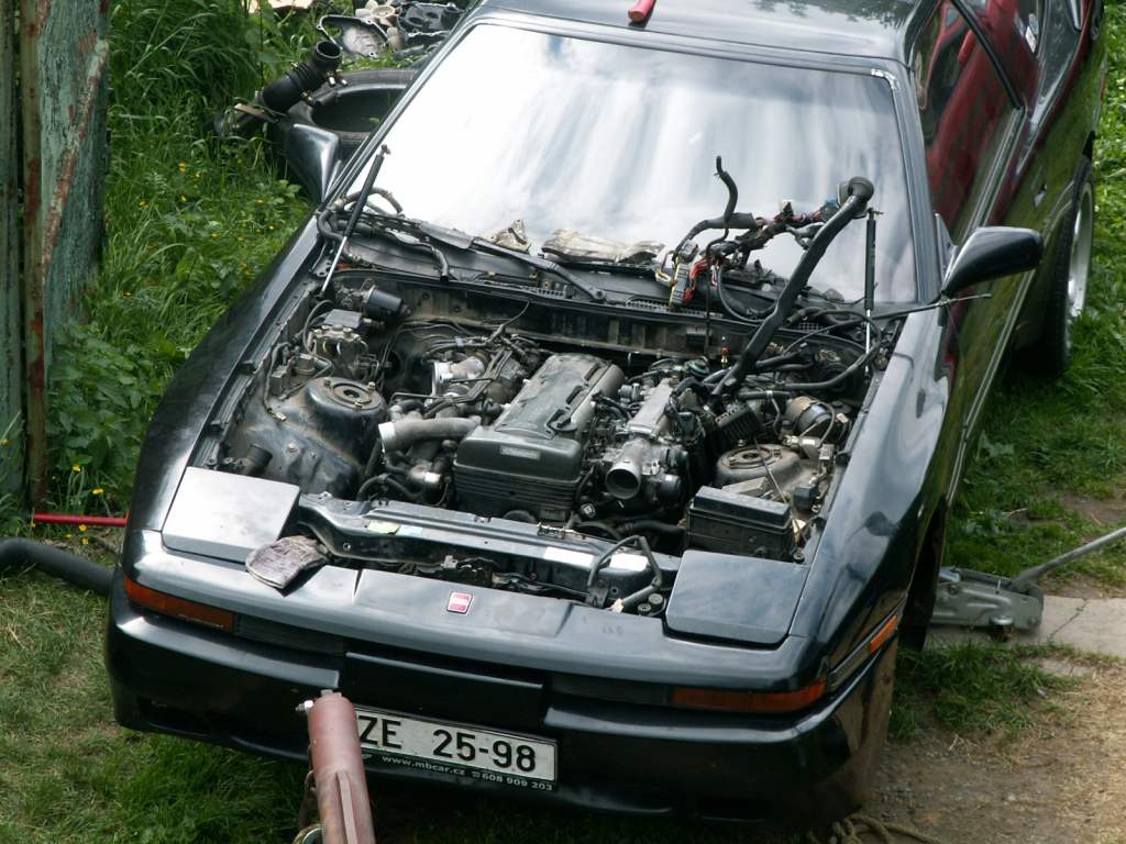 PICT0251.jpg