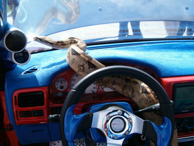 Nissan + had 4.jpg