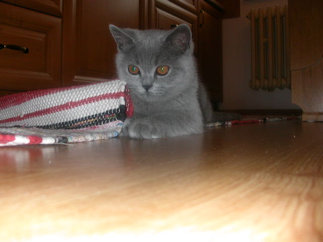 DSCN3882.JPG