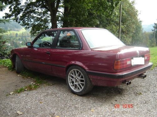 bawo335007qu7.jpg