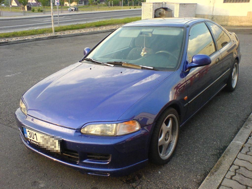 kovis 1.jpg