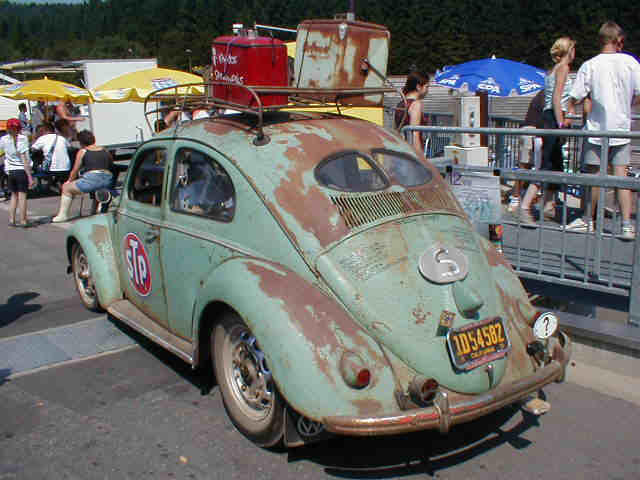 rat (13).jpg