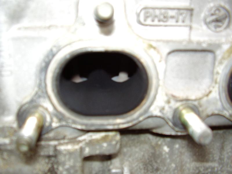 PB250021.JPG