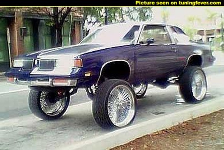 226130_max.jpg
