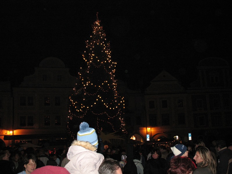 Vánoční stromeček 2006.JPG