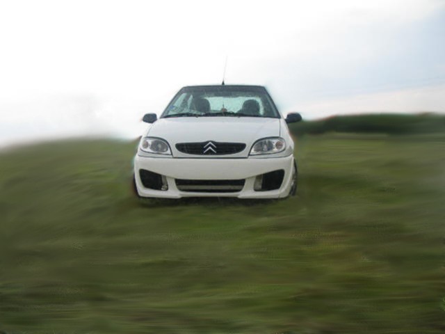 IMG_2071.jpg