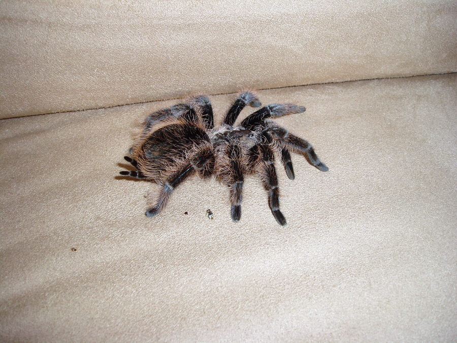 ozzy1.jpg