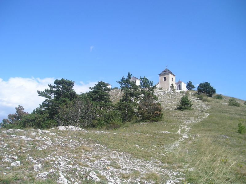 P1010032.JPG