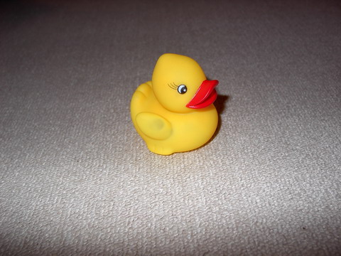 IM003720_.jpg