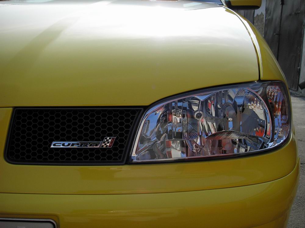 P3100074,,,,.jpg