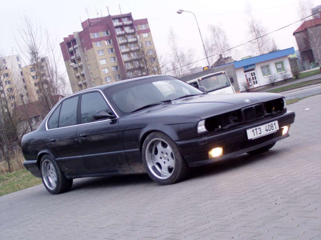 P1010009.jpg